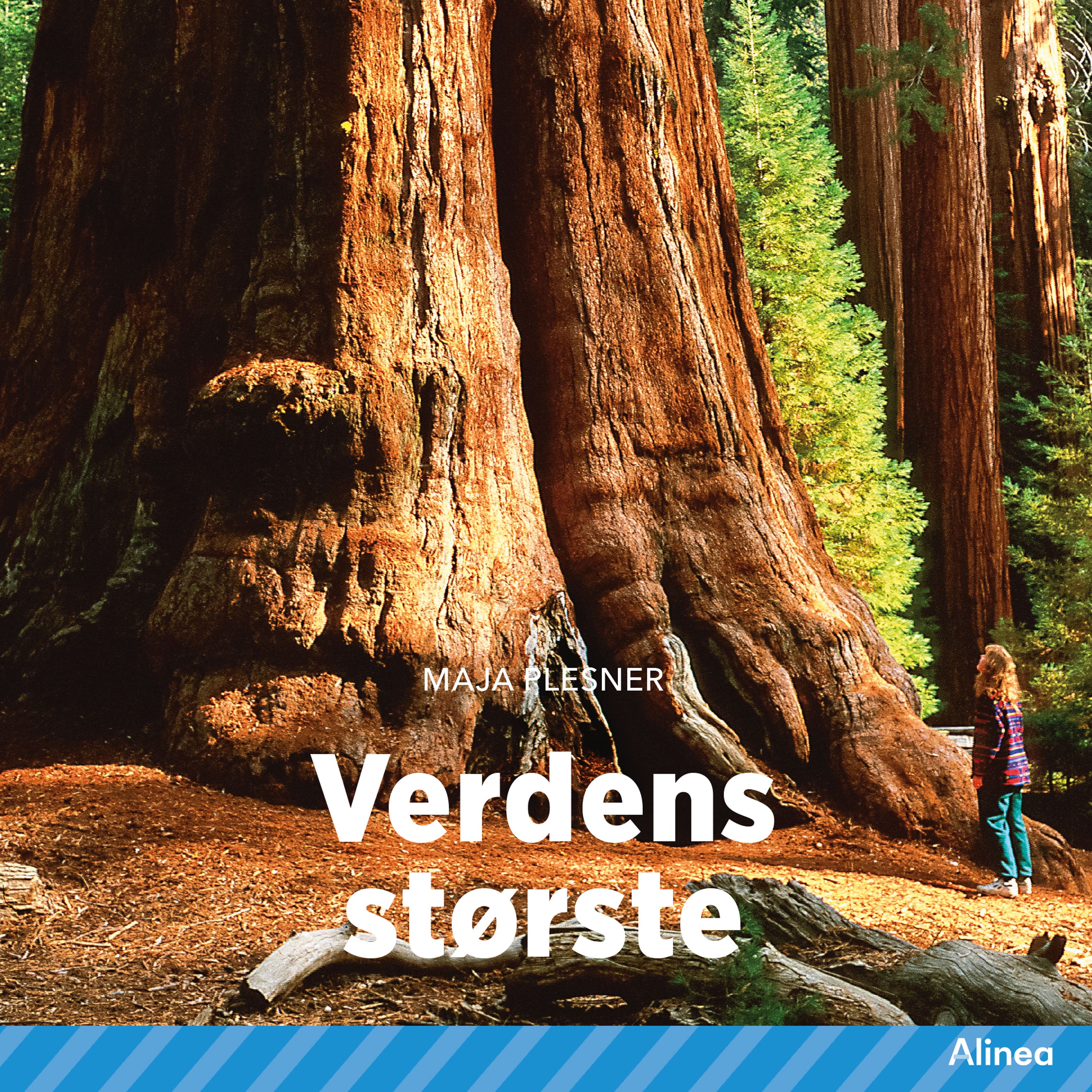 Forside billede